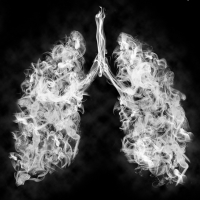 Lunge aus Rauch