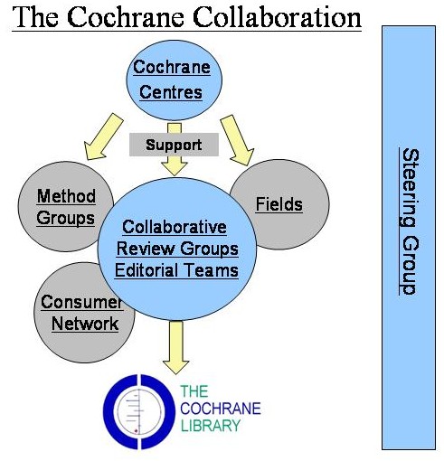 Gruppen  der Cochrane Collaboration