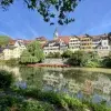 Das Bild zeigt die malerische Neckarfront in Tübingen, eine Reihe historischer Fachwerkhäuser entlang des Flusses, die sich im Wasser spiegeln. Ein großer, üppiger Baum und der Kirchturm im Hintergrund unterstreichen die idyllische Atmosphäre der Szenerie.
