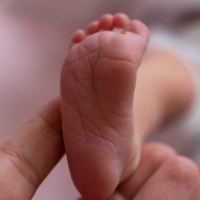 Fuß eines Babys, bereit zur Blutabnahme