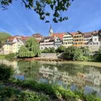 Das Bild zeigt die malerische Neckarfront in Tübingen, eine Reihe historischer Fachwerkhäuser entlang des Flusses, die sich im Wasser spiegeln. Ein großer, üppiger Baum und der Kirchturm im Hintergrund unterstreichen die idyllische Atmosphäre der Szenerie.